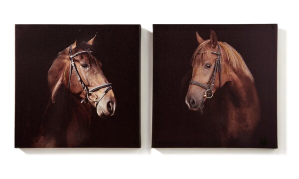 Horse Canvas Wall Prints