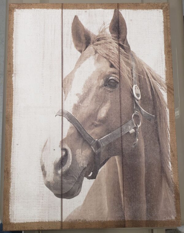 Burlap Horse Canvas